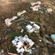 This Sept. 12 photo shows storm damage in the aftermath of Hurricane Irma. Photo: AP